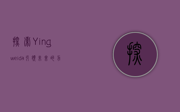探索Yingweida,引领未来的力量