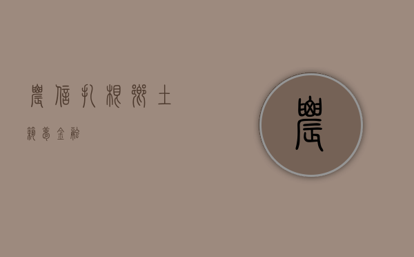 农信，扎根乡土，筑梦金融