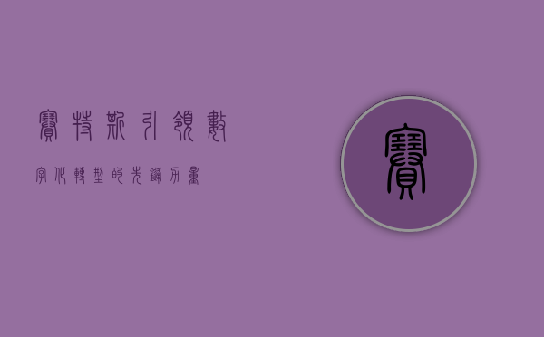 赛特斯,引领数字化转型的先锋力量