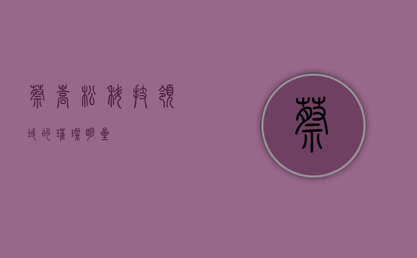 蔡嵩松，科技领域的璀璨明星