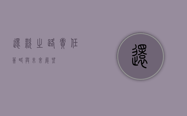 还款之路，责任、策略与未来展望