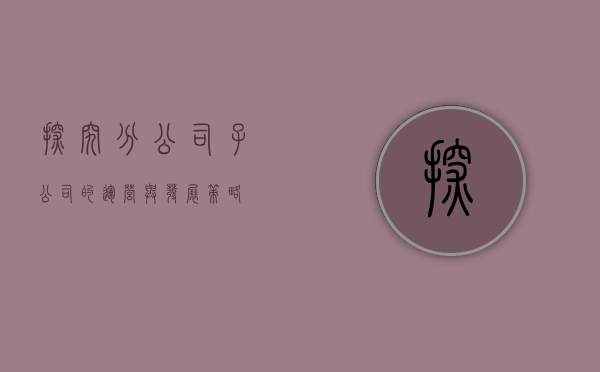 探究分公司子公司的运营与发展策略