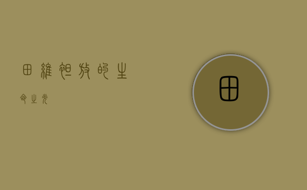 田维，绽放的生命之光