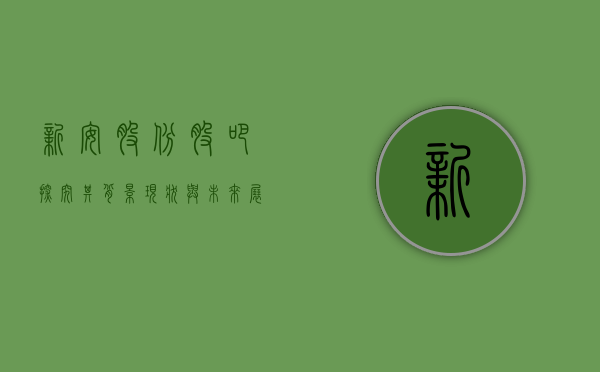 新安股份股吧，探究其背景、现状与未来展望