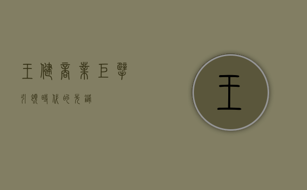 王健，商业巨擘，引领时代的先锋
