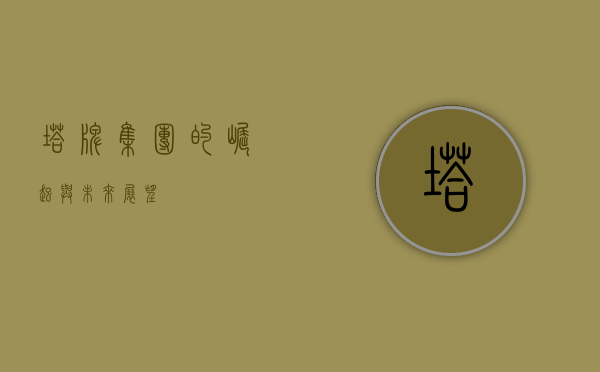 塔牌集团的崛起与未来展望