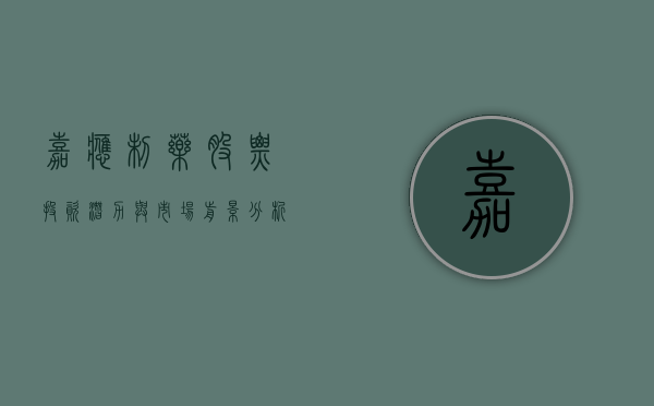 嘉应制药股票，投资潜力与市场前景分析