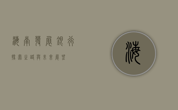 海南发展银行，探索之路与未来展望