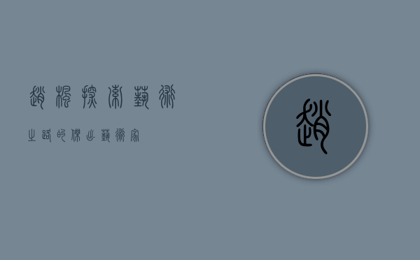 赵枫，探索艺术之路的杰出艺术家