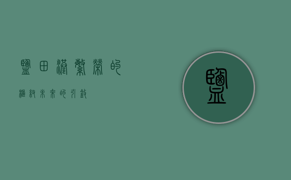 盐田港，繁荣的枢纽，未来的引擎