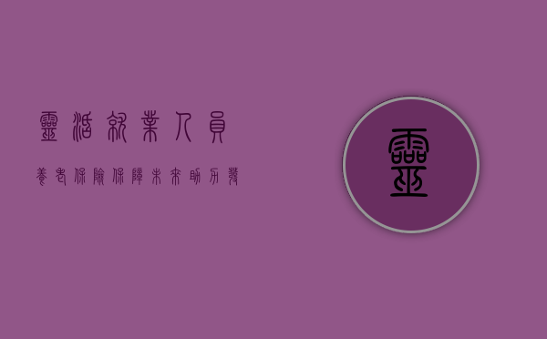 灵活就业人员养老保险，保障未来，助力发展
