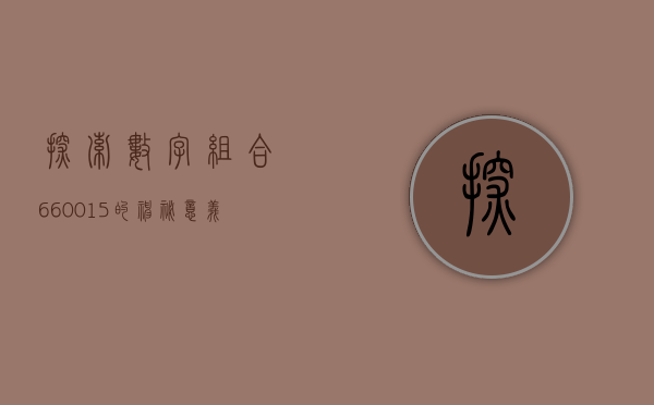 探索数字组合，660015的神秘意义