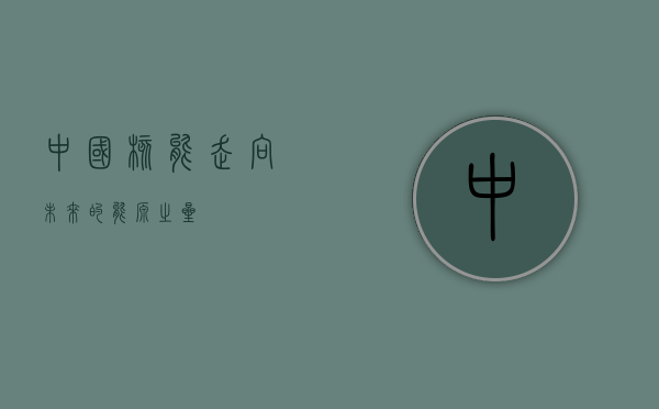 中国核能，走向未来的能源之星
