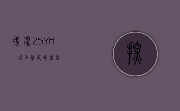 探索ZSYH，一场多维度的旅程