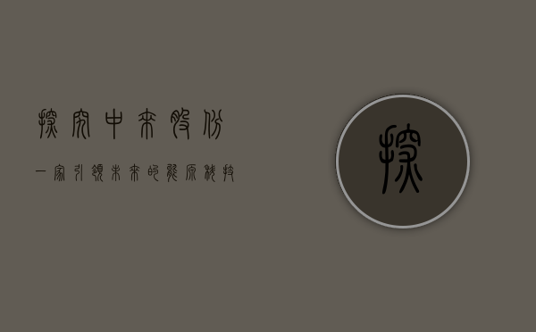 探究中来股份，一家引领未来的能源科技巨头