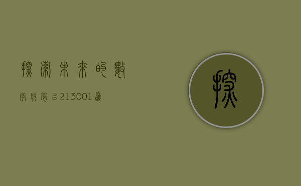 探索未来的数字城市，以213001为蓝图