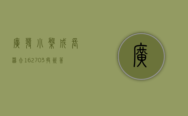 广发小盘成长混合162703，投资策略与市场表现解析