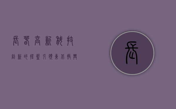 长春高新,科技创新的摇篮,引领东北振兴的先锋