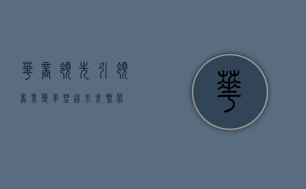 华商领先，引领商业变革，塑造未来繁荣