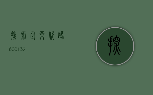 探索企业代码，600132