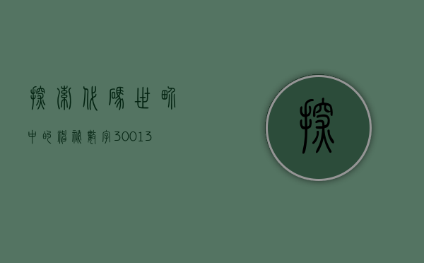 探索代码世界中的神秘数字，300135