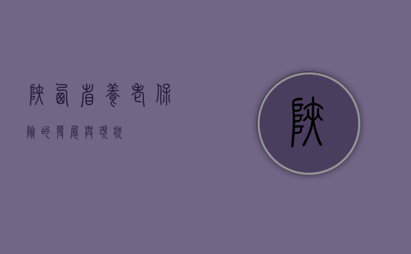 陕西省养老保险的发展与现状