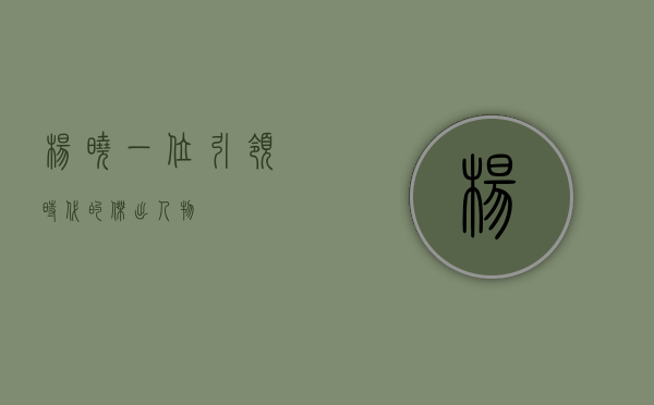 杨晓，一位引领时代的杰出人物