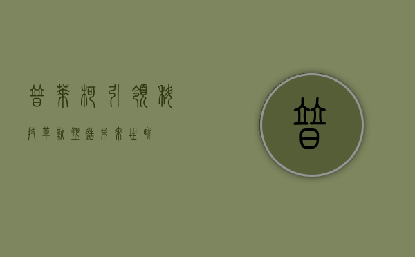 普莱柯，引领科技革新，塑造未来世界