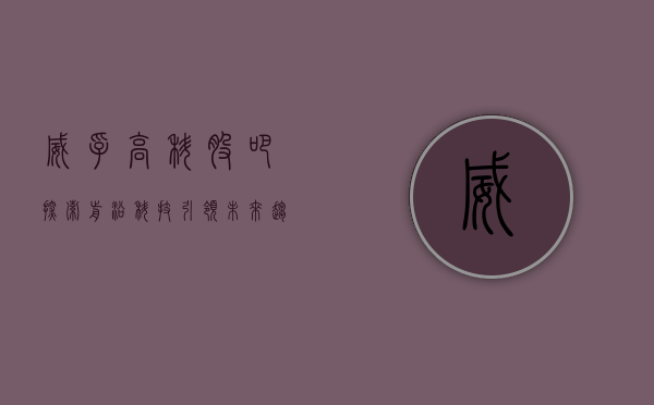 威孚高科股吧,探索前沿科技,引领未来趋势