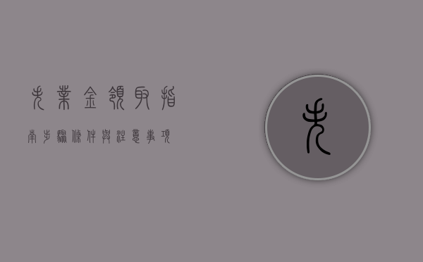 失业金领取指南，步骤、条件与注意事项