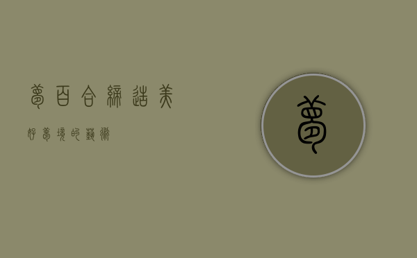 梦百合，缔造美好梦境的艺术