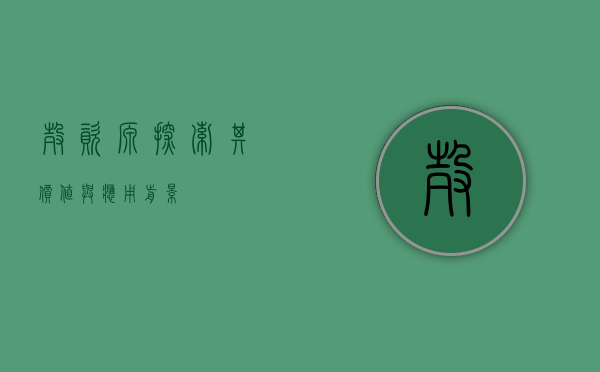 壳资源，探索其价值与应用前景