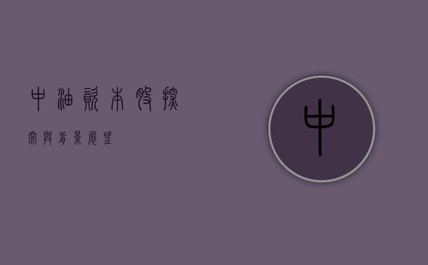 中油资本股，探究与前景展望