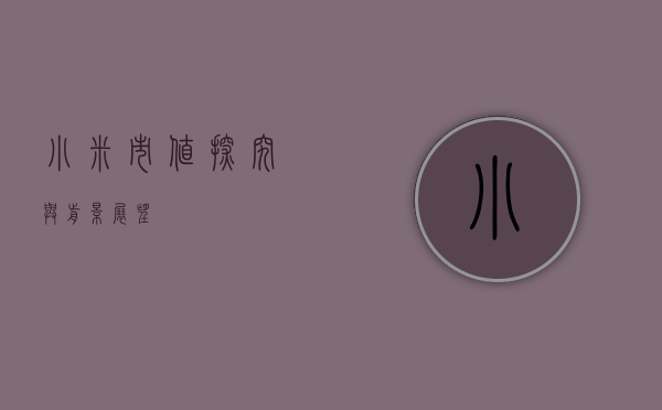 小米市值，探究与前景展望
