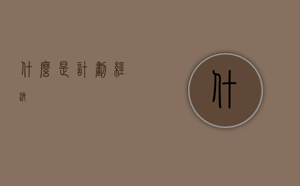 什么是计划经济