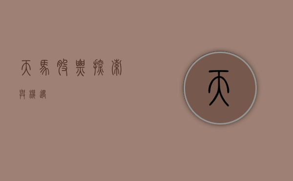 天马股票，探索与机遇