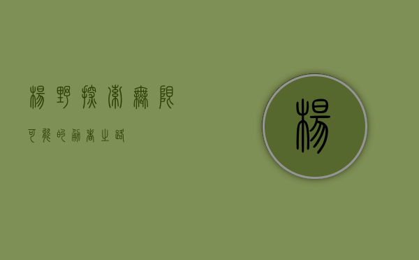 杨野，探索无限可能的勇者之路