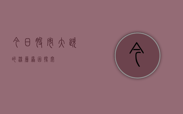 今日股市大跌的深层原因探究