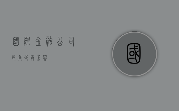 国际金融公司的角色与影响