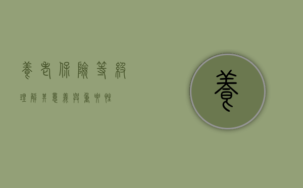 养老保险等级，理解其意义与重要性