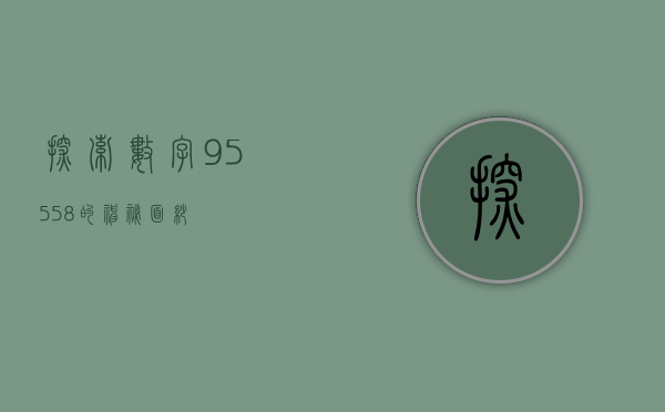 探索数字95558的神秘面纱