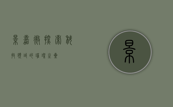 景嘉微，探索科技领域的璀璨之星