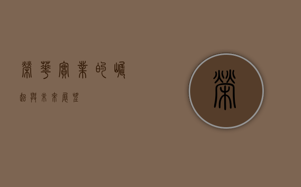 荣华实业的崛起与未来展望
