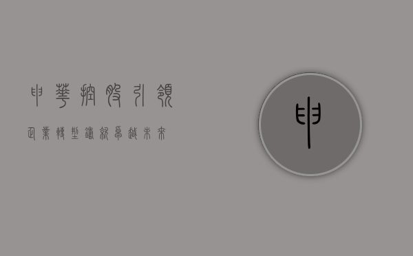 申华控股，引领企业转型，铸就卓越未来