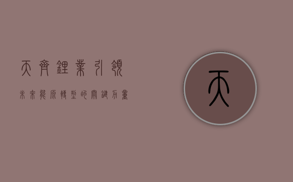 天齐锂业，引领未来能源转型的关键力量