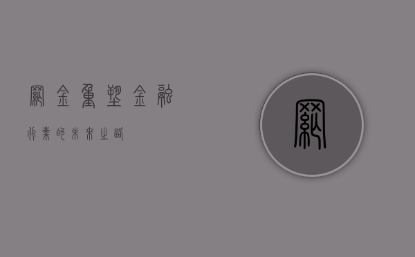 网金，重塑金融行业的未来之路