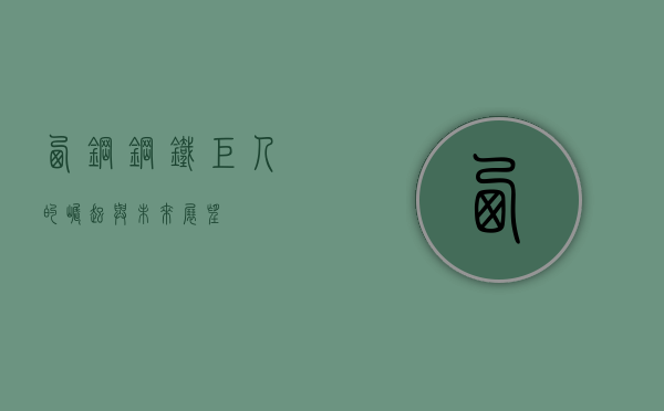 西钢,钢铁巨人的崛起与未来展望