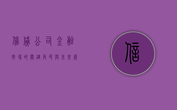 信贷公司，金融市场的关键角色与日益增长的挑战