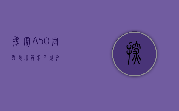 探究A50，定义、应用与未来展望
