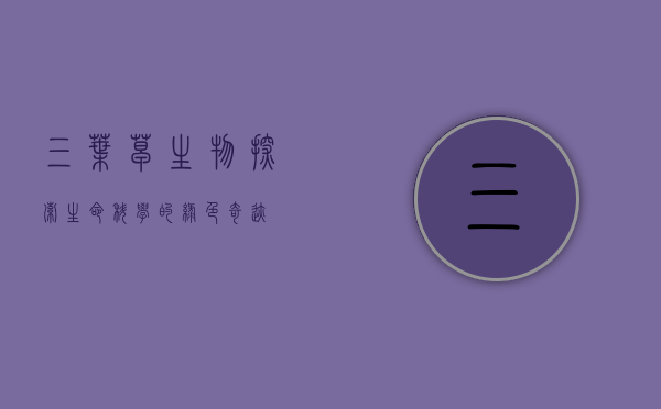 三叶草生物，探索生命科学的绿色奇迹